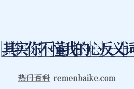 其实你不懂我的心反义词是什么意思的图片